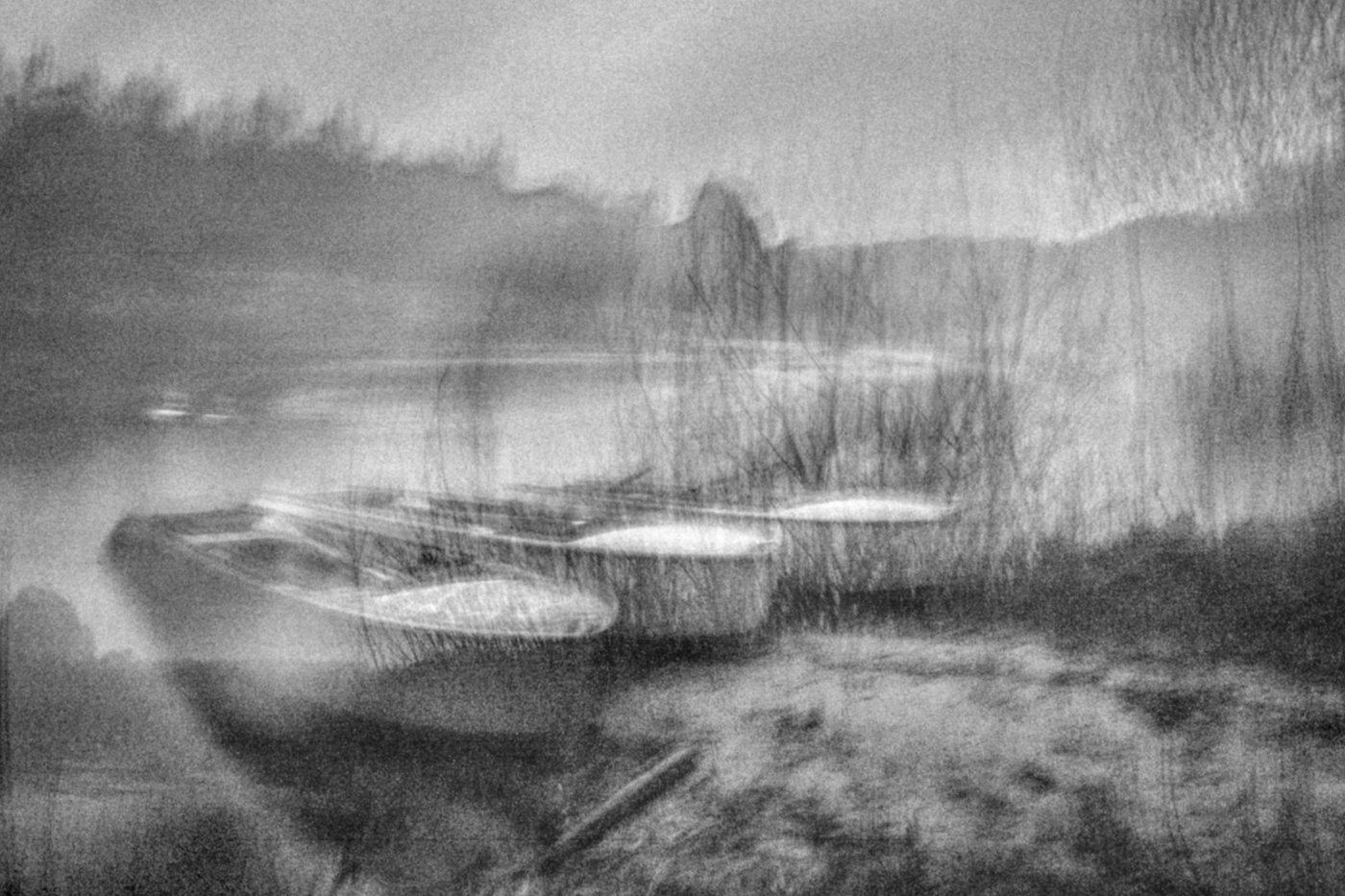 Жизнь вокруг