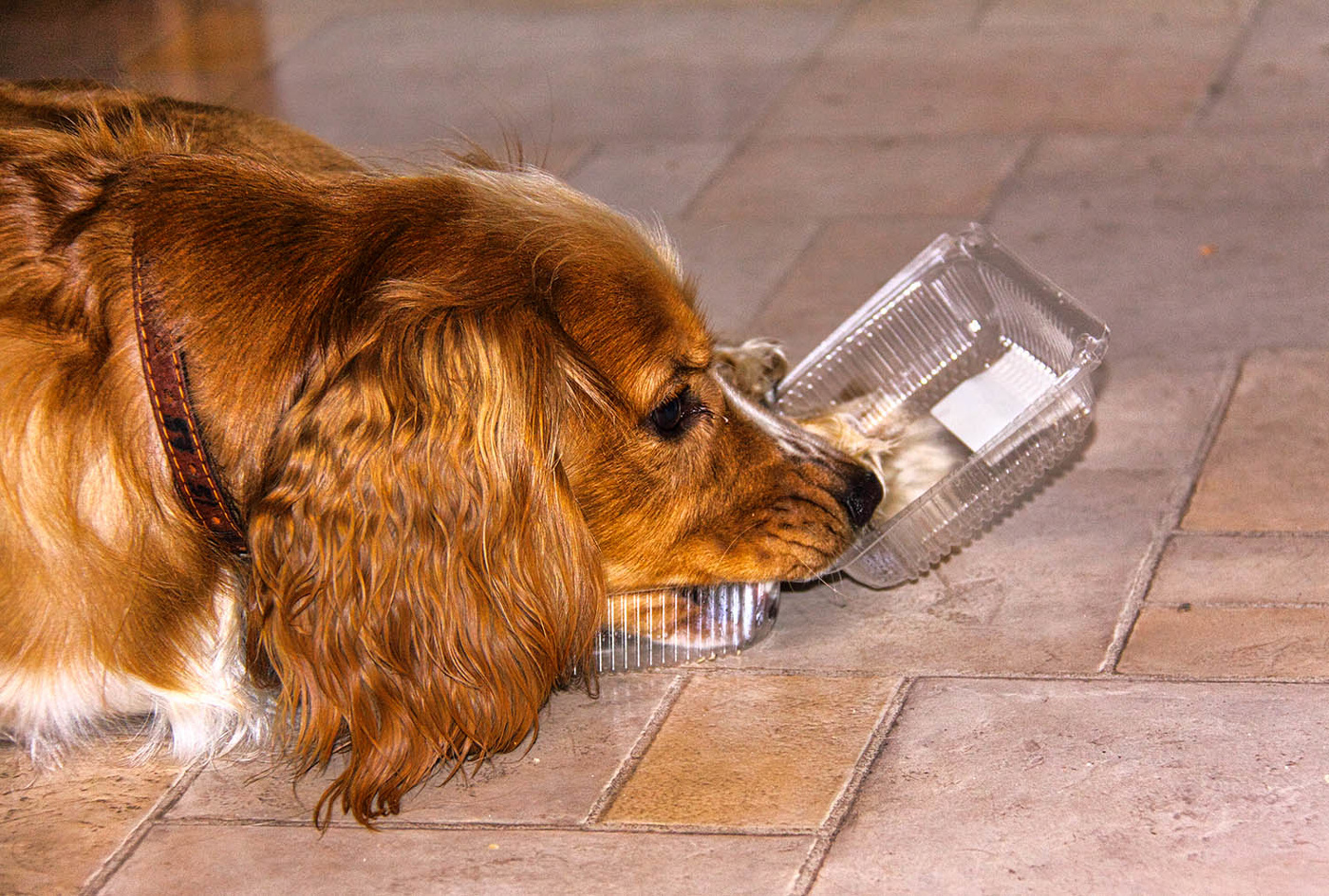 Тоска по съеденой халве