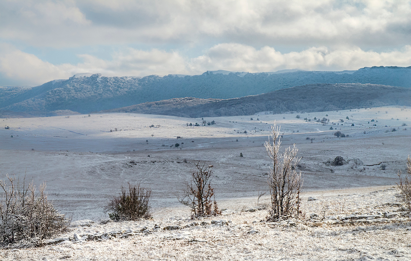Морозная погода