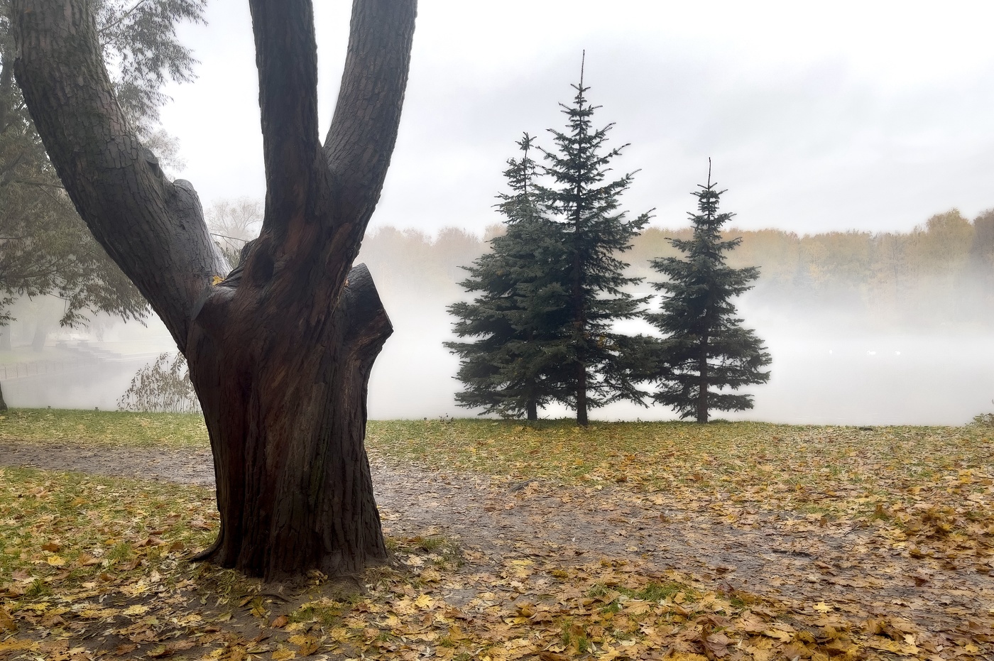 Крестовский остров