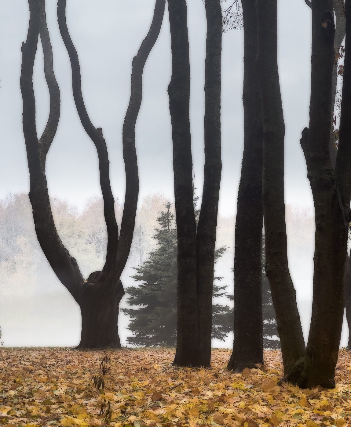 Крестовский остров