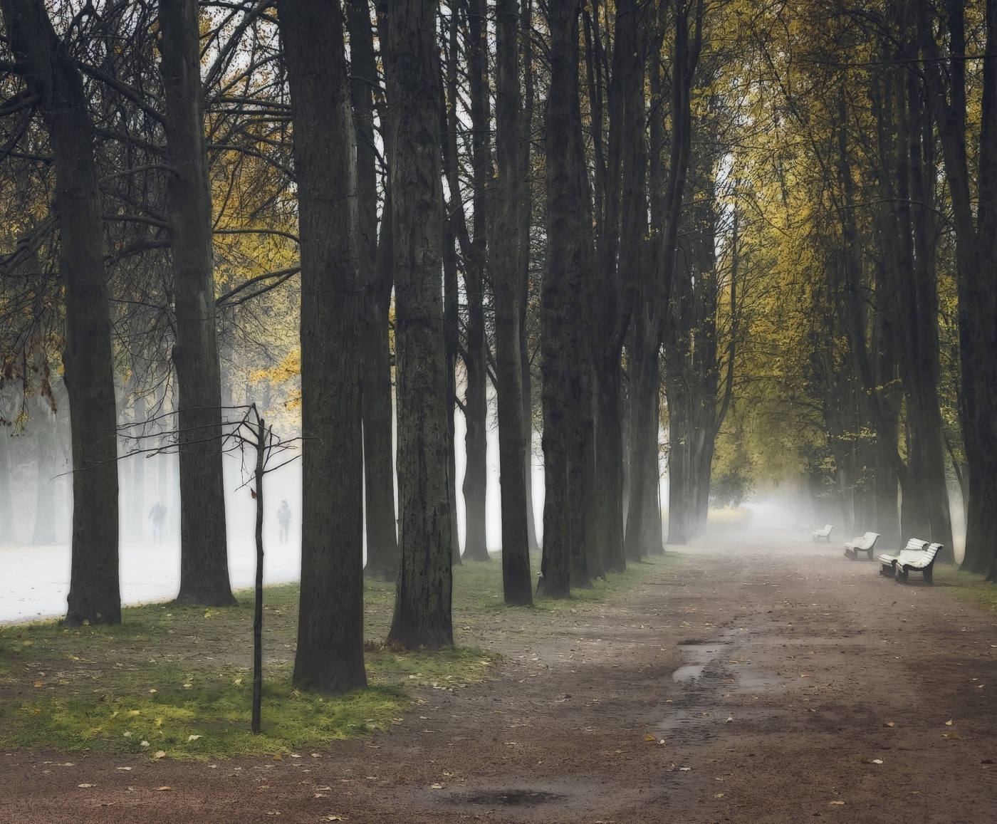 Крестовский остров