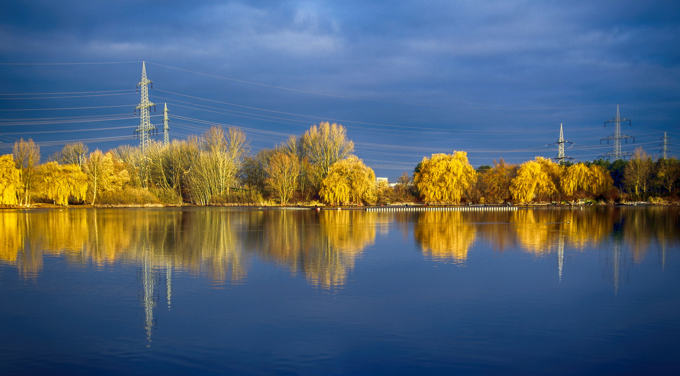 Одним ноябрьским утром