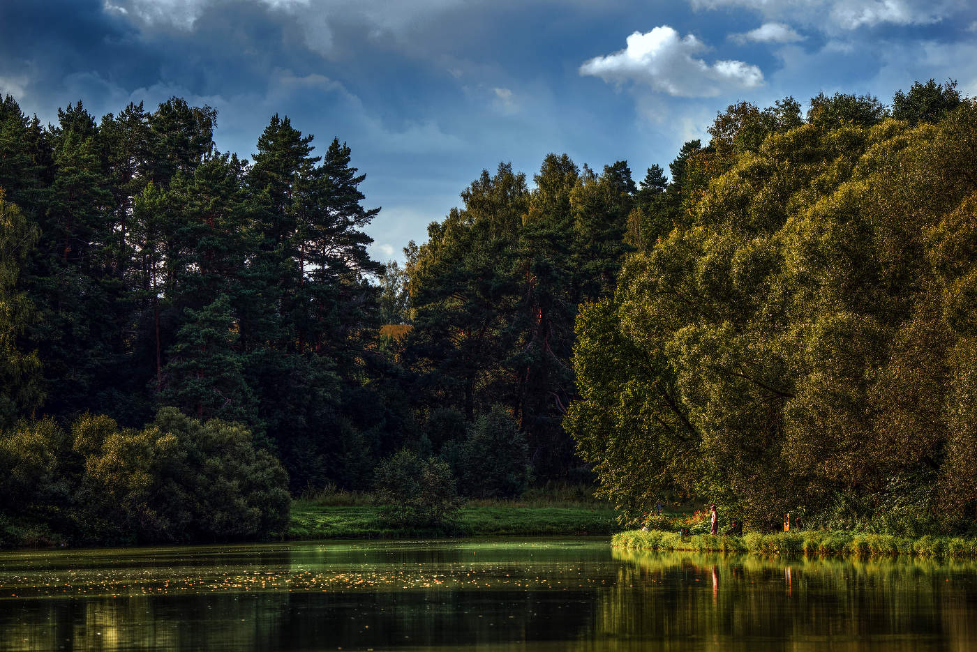 Лесное озеро.