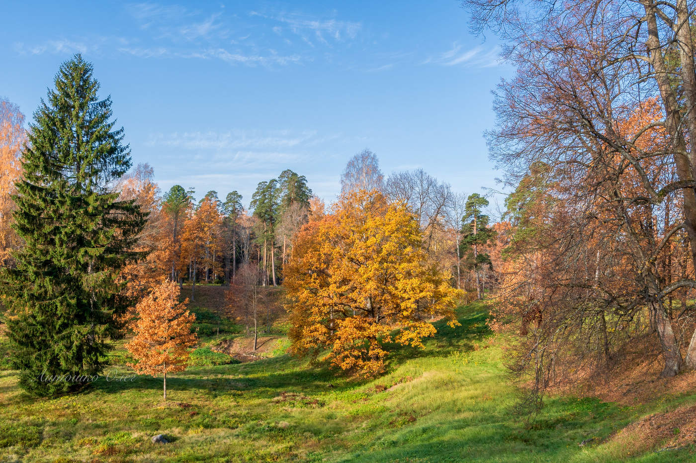 Ораниенбаум.