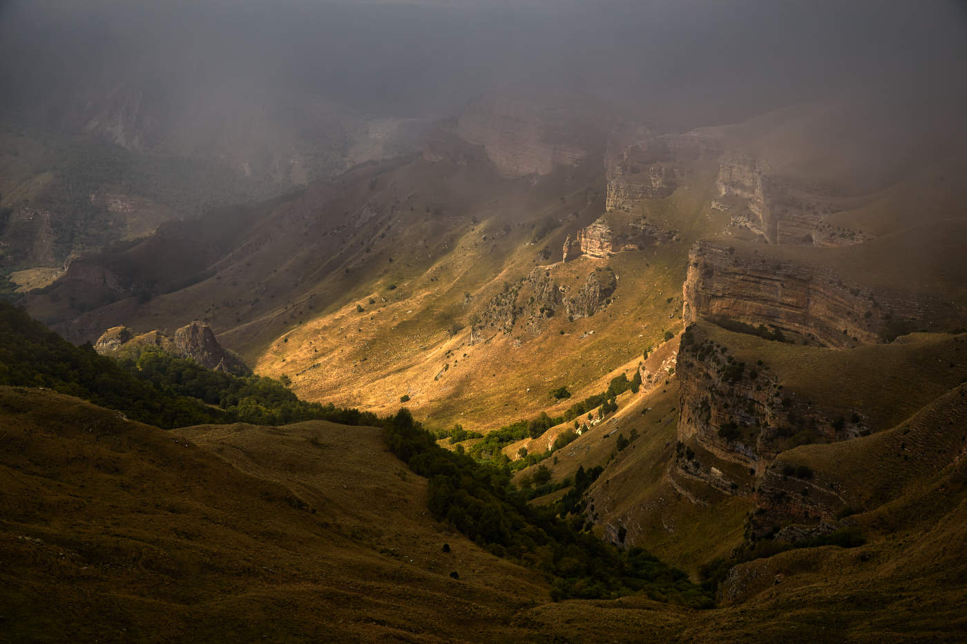 сквозь туман