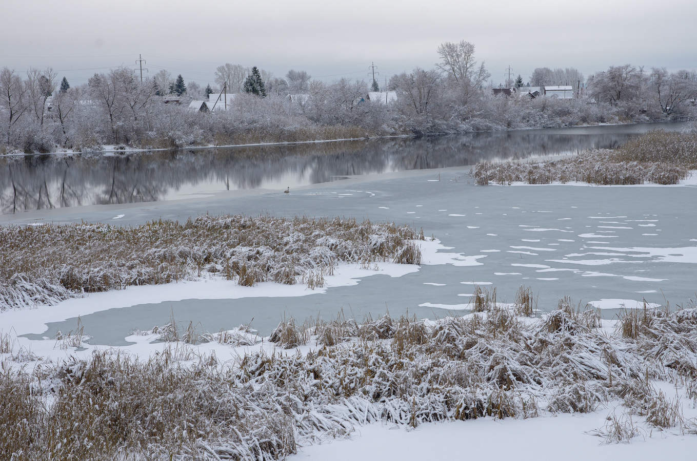 Не улетевший