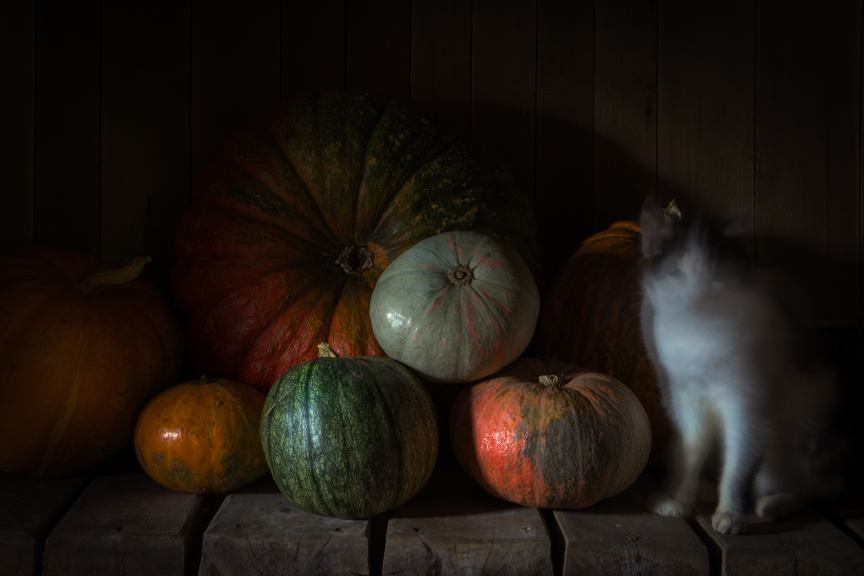 Не помешаю?