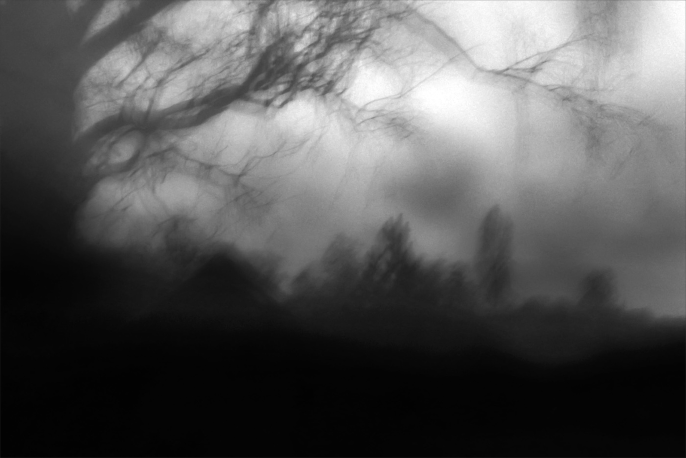 Жизнь вокруг