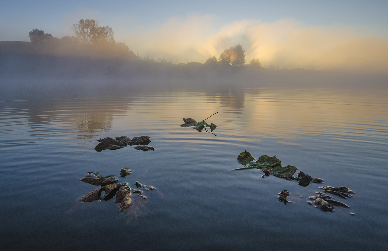 Доплыть до рассвета - 2