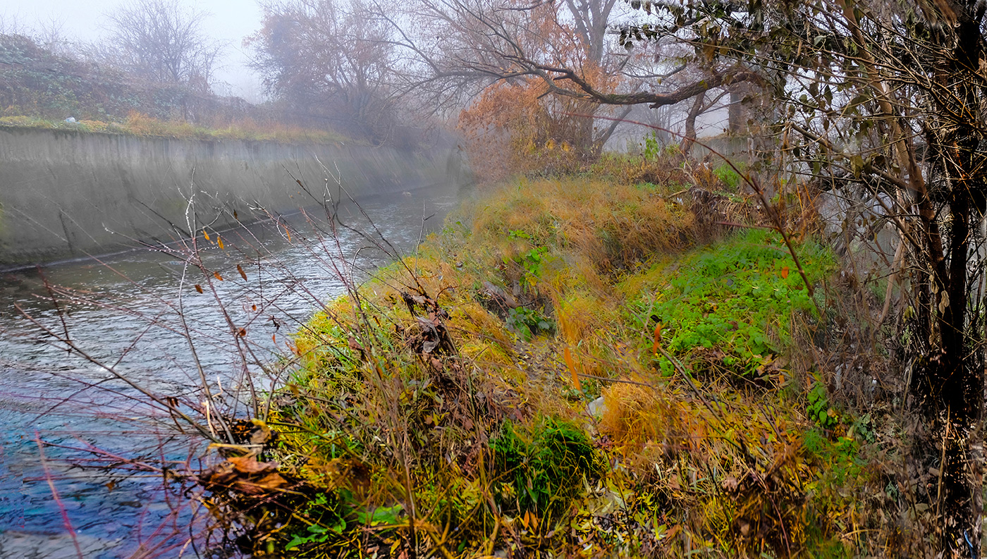 Туманное утро