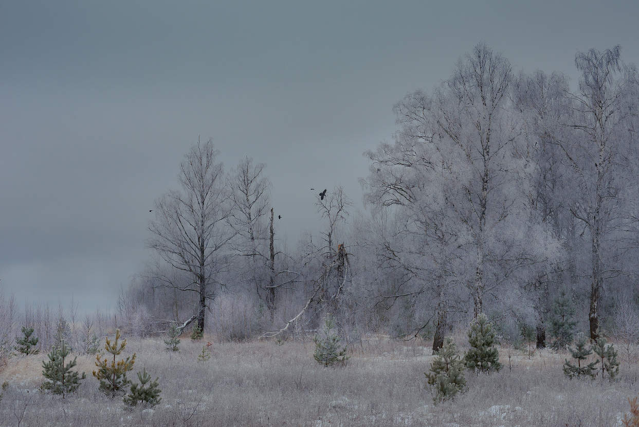Межсезонье.
