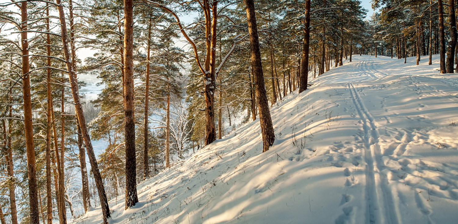 Чудесный день !