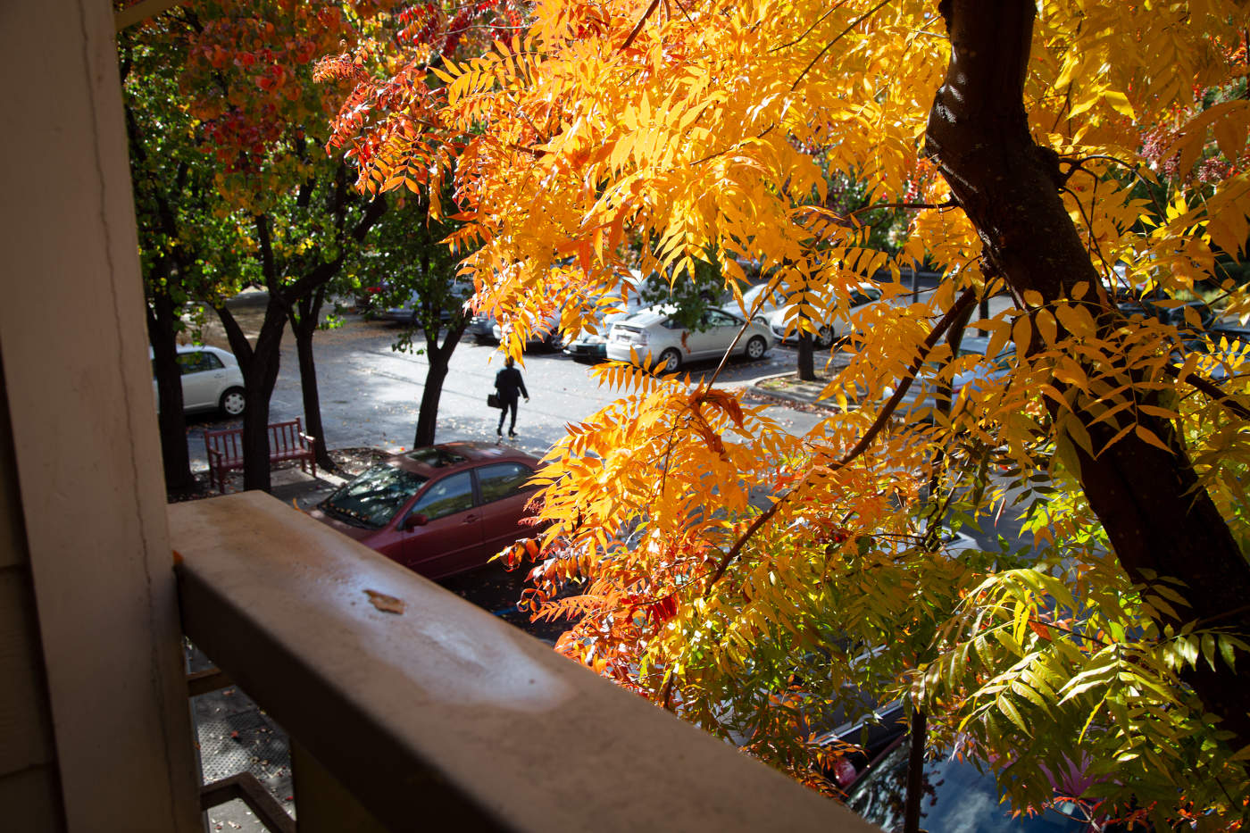 Калифорния. Ядрёная осень