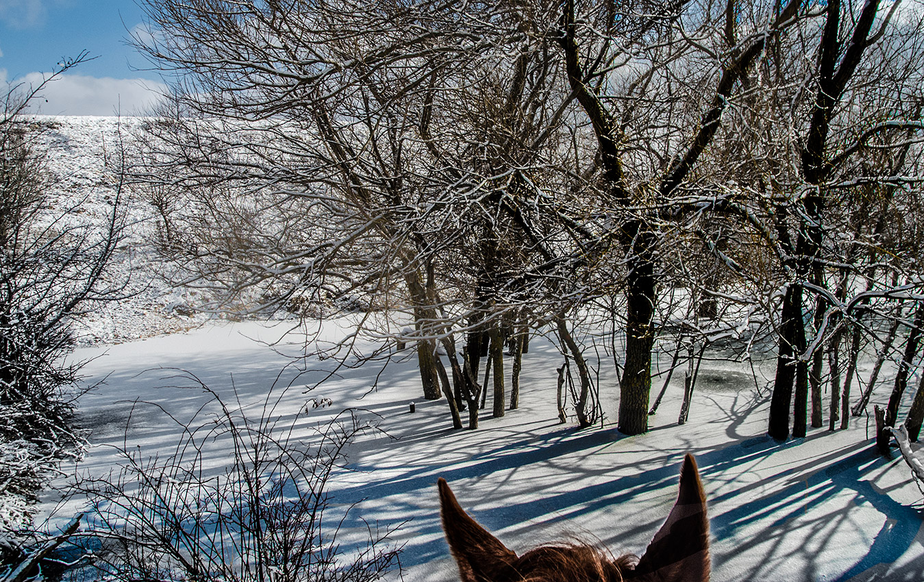 Тени на ушах