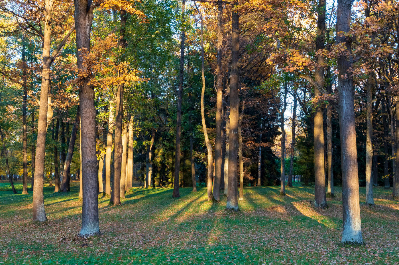 Парк Александрия.