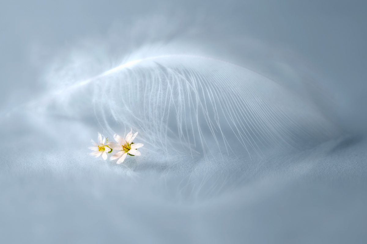 Пробуждение