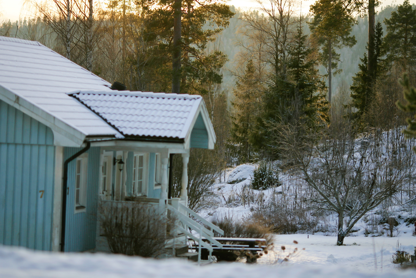 Когда зима ковры расстелет