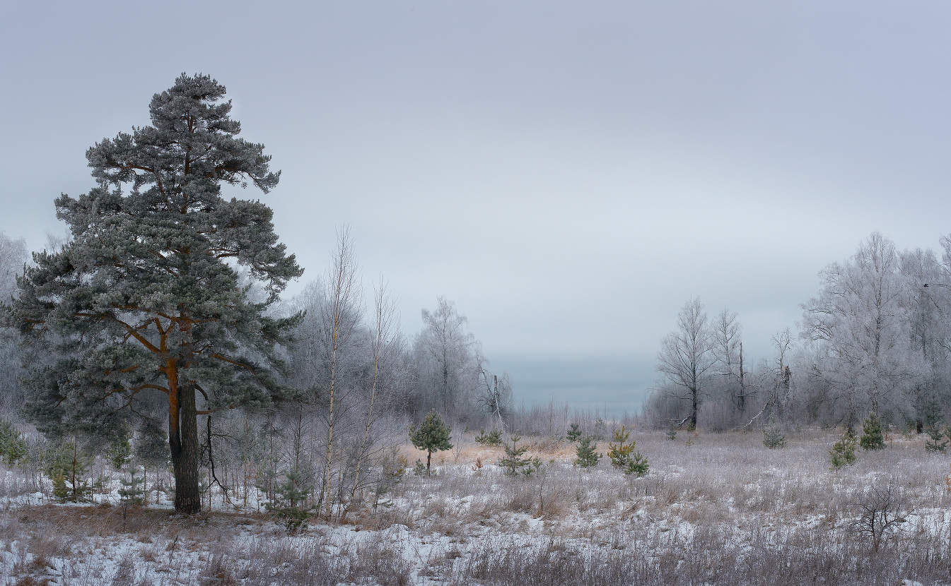 В ожидании снега.