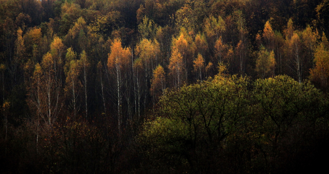 Палехская шкатулка
