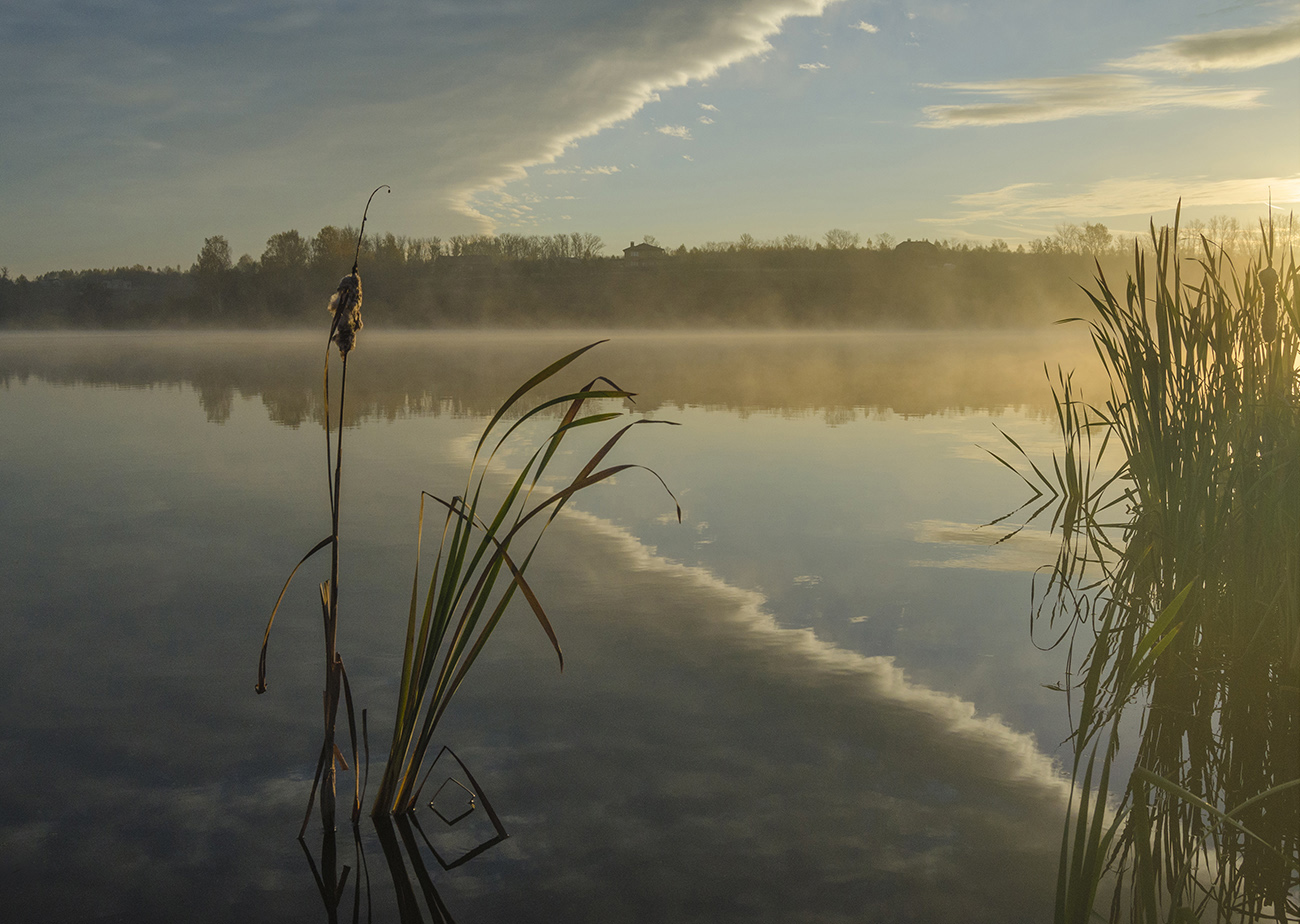 Погода меняется. Архангельское