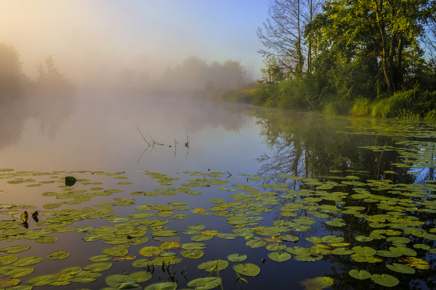 В начале осени.