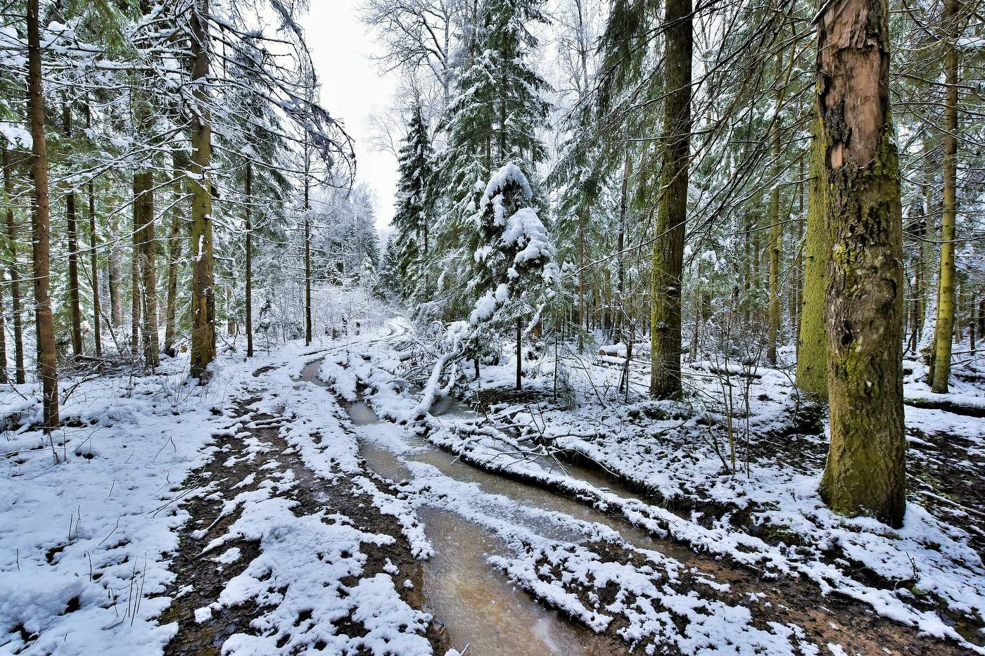 "По дороге зимней, скучной ..."