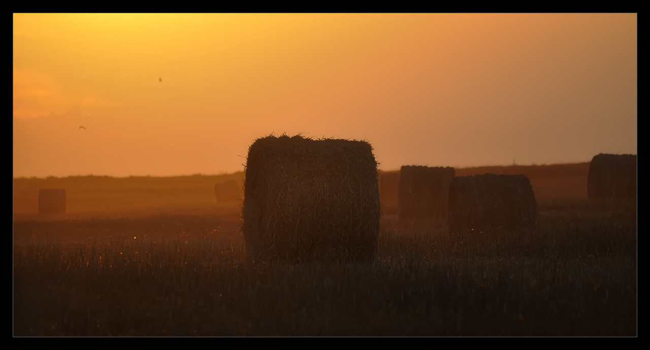 В осеннем поле вечер тихий...