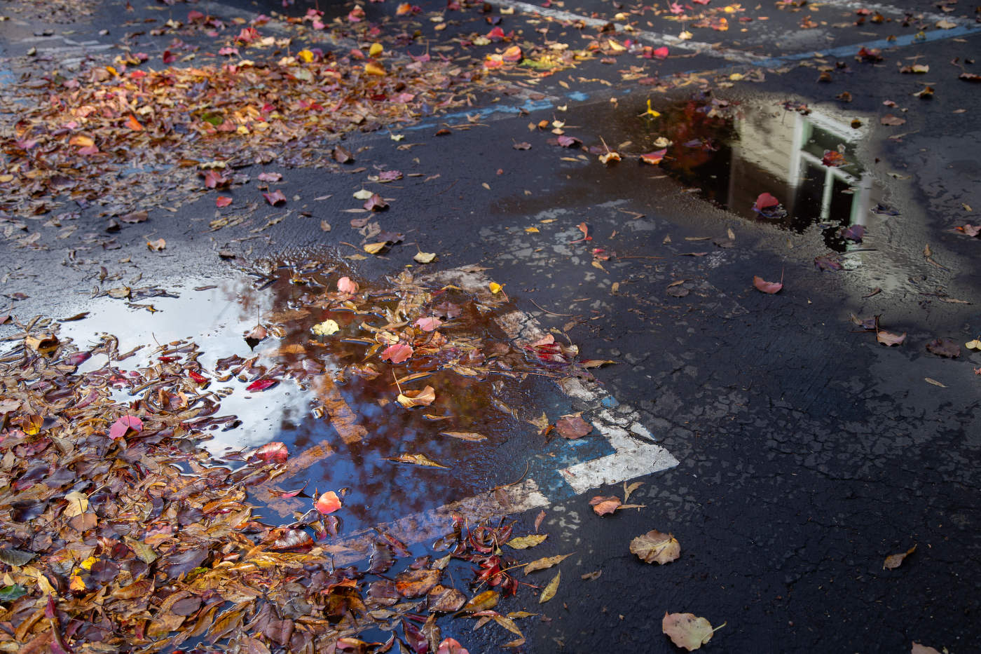 Осенний мотив