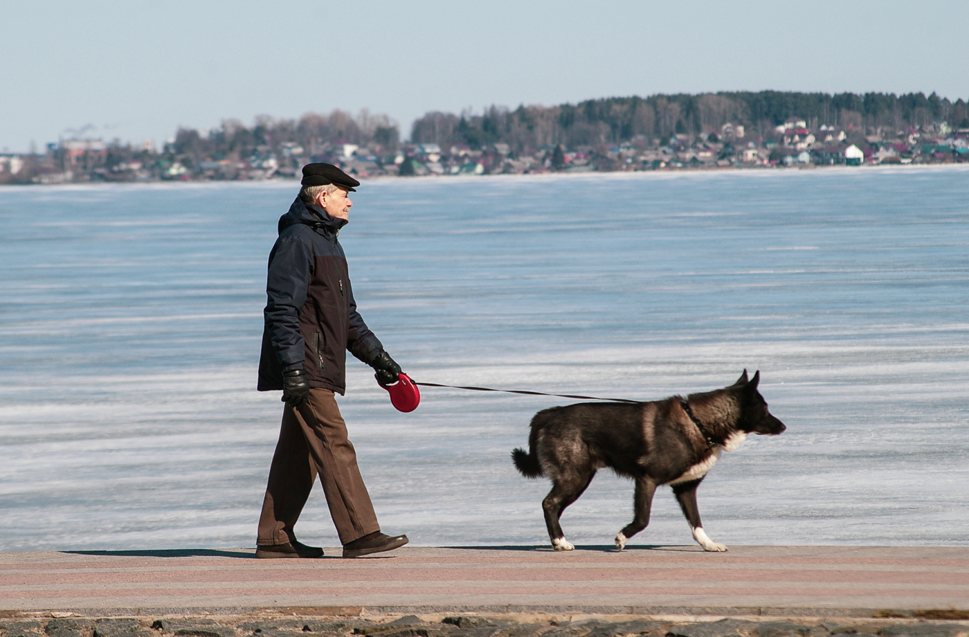 Пять ног, три уха...