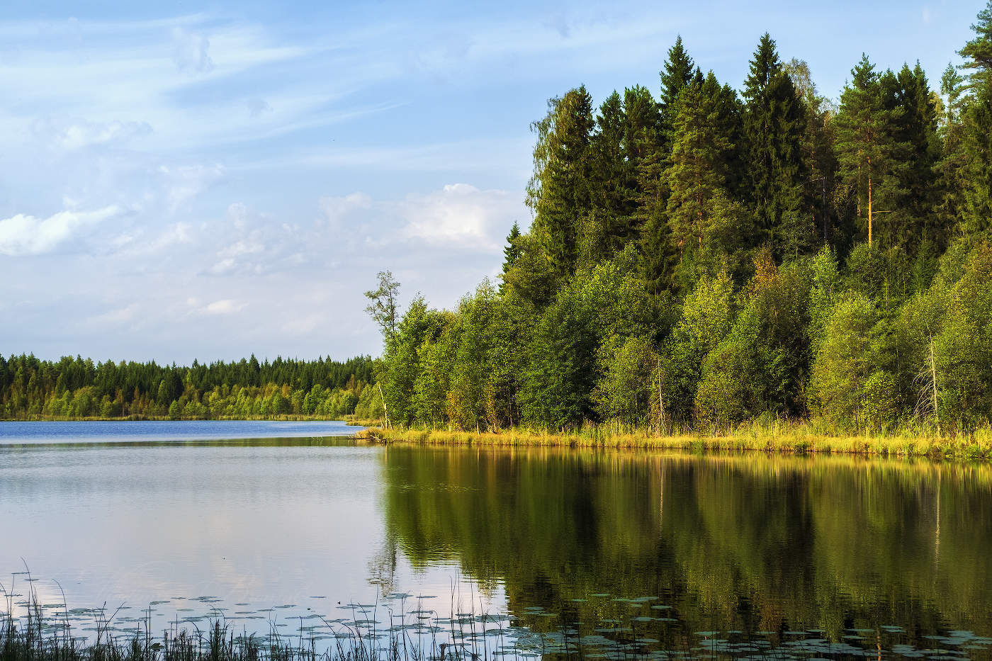 Начало осени