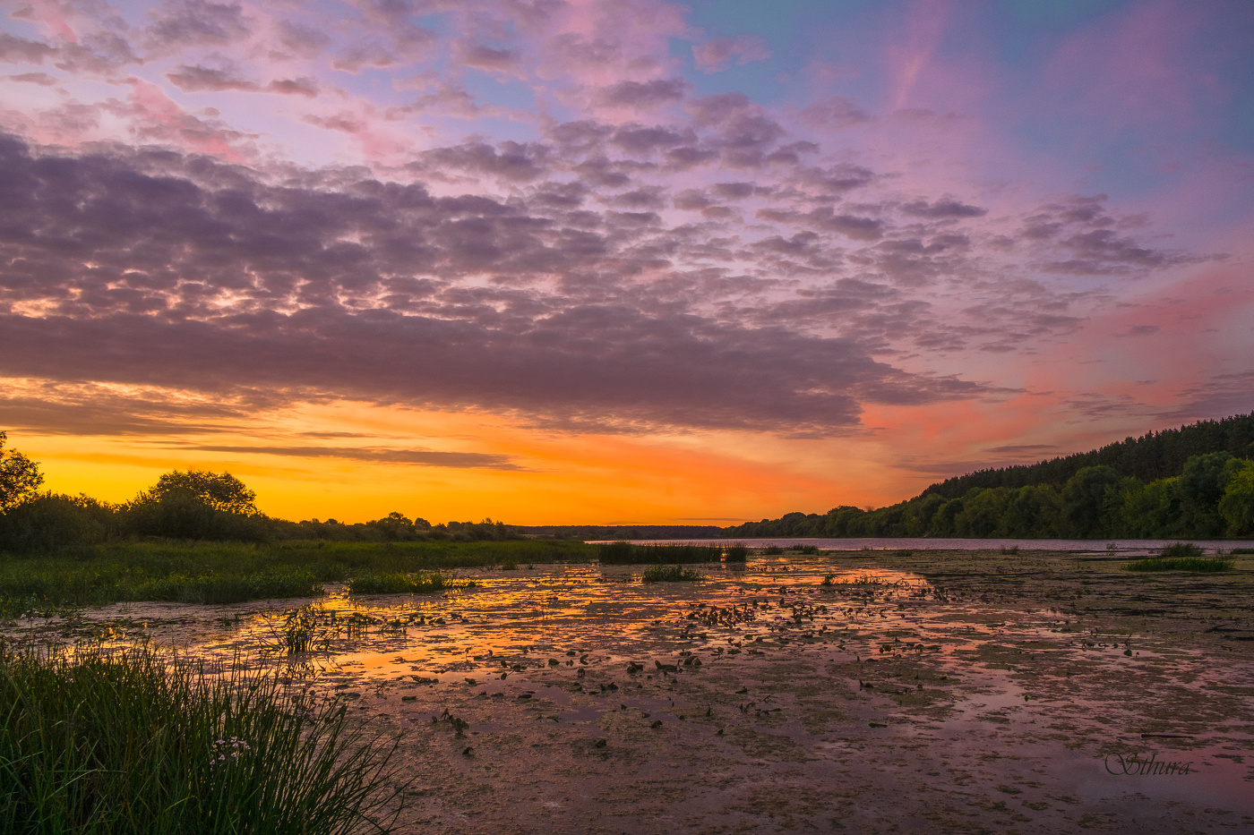 Летнее утро.