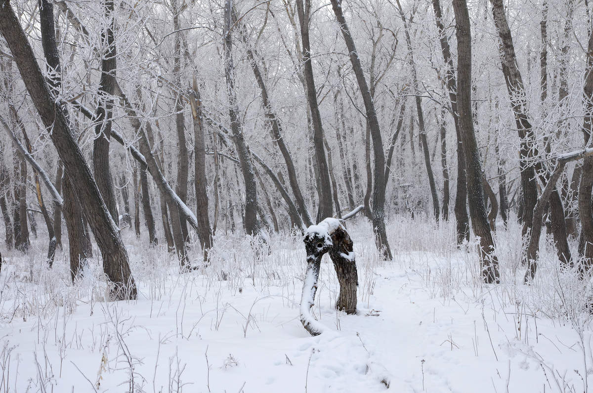 Заблудился...