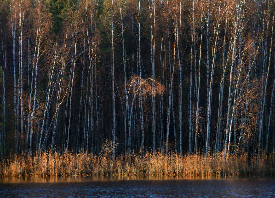 Дуэт с оркестром.