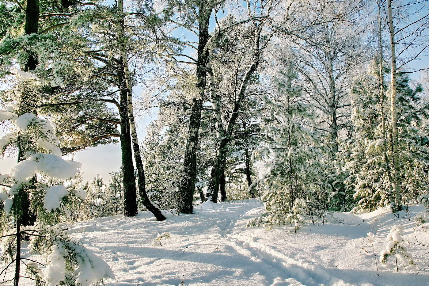 *Зимним днём.**