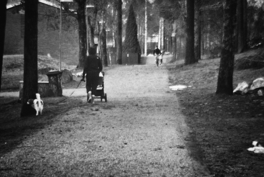 Скоро зима I