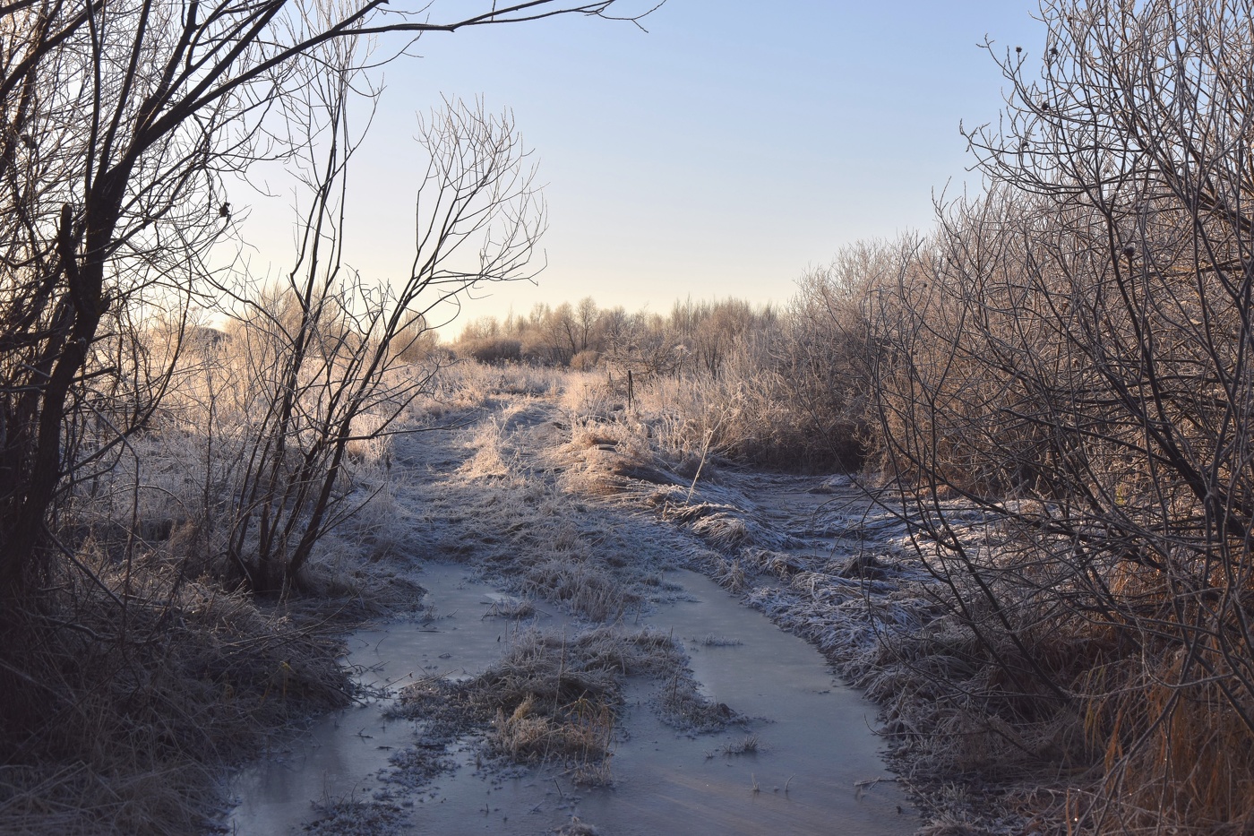 Самое начало....