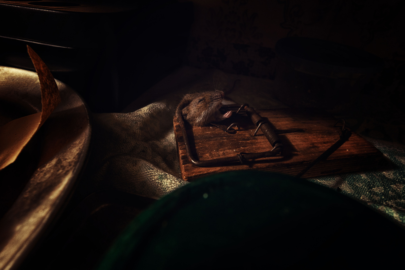 Жизнь вокруг