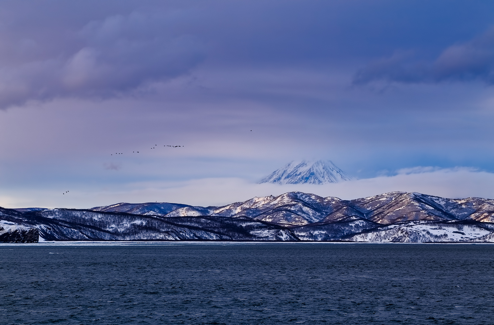 in den herbstlichen Wald