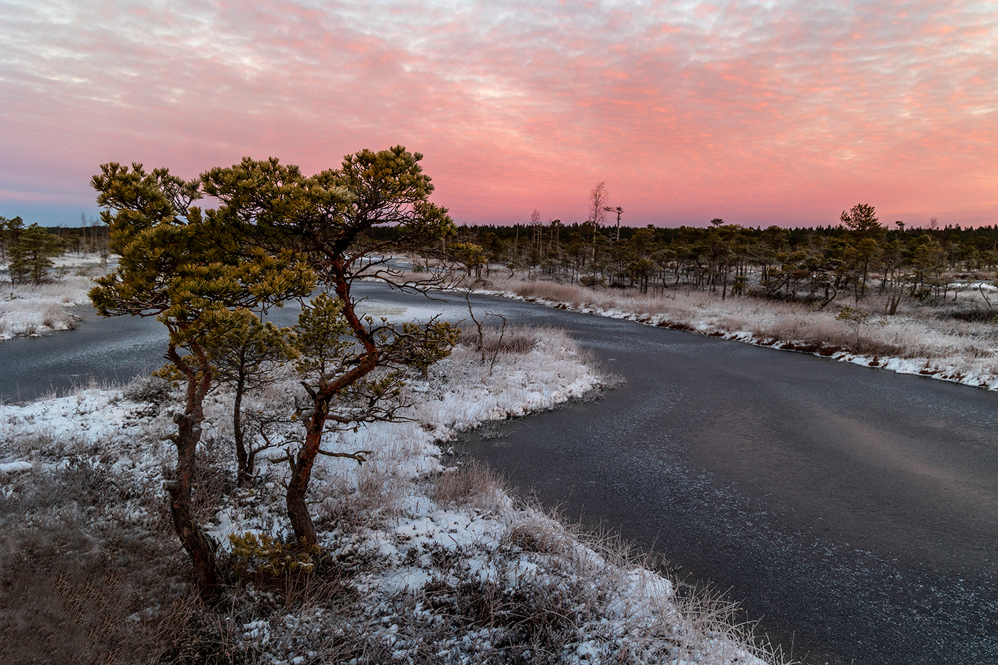 Танго розовых облаков