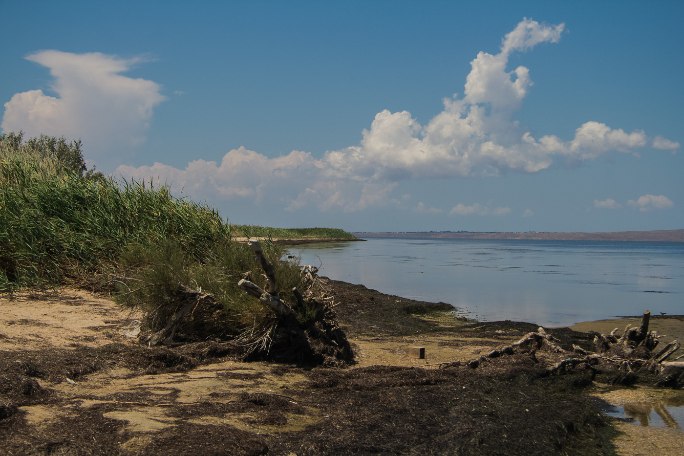 Под голубыми небесами