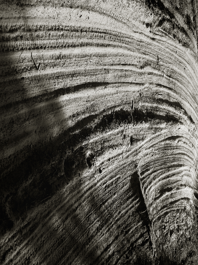 Бомжеграфика