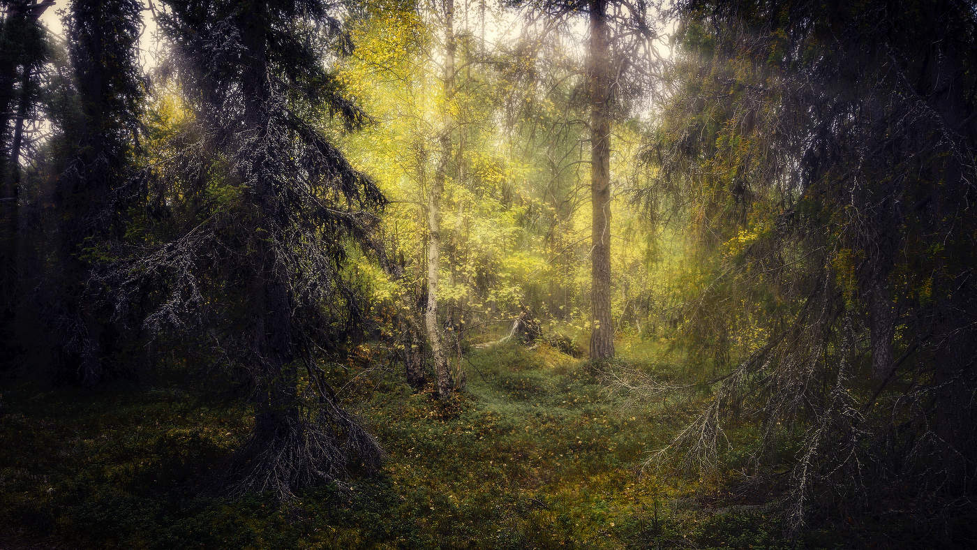 Грань миров