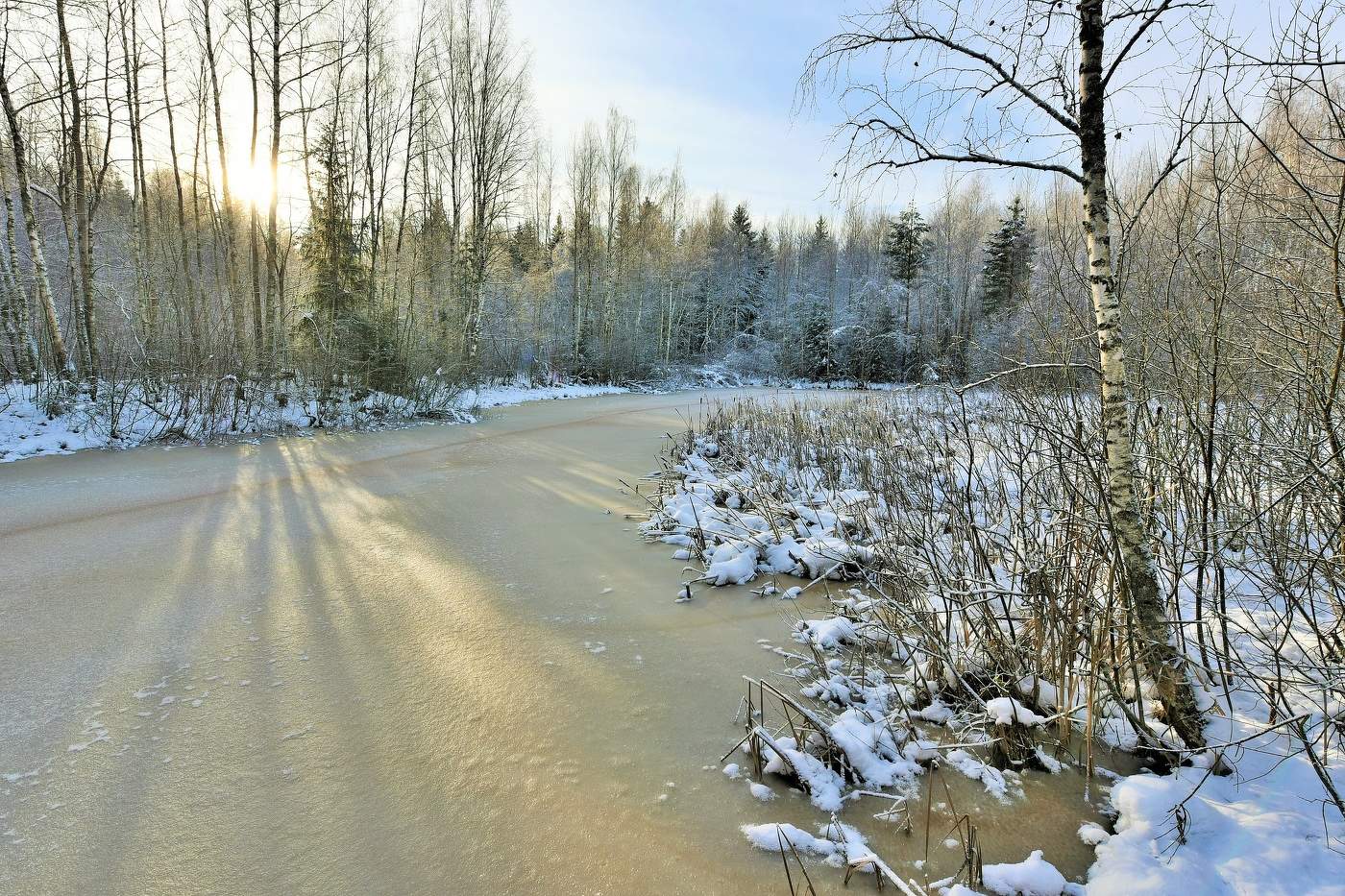Полдень. Низкое солнце декабря ...