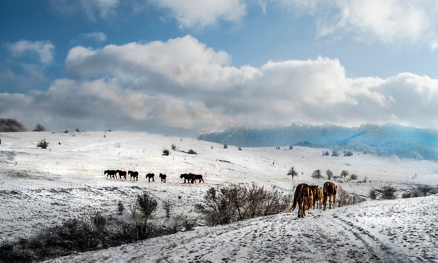 Зимний ландшафт