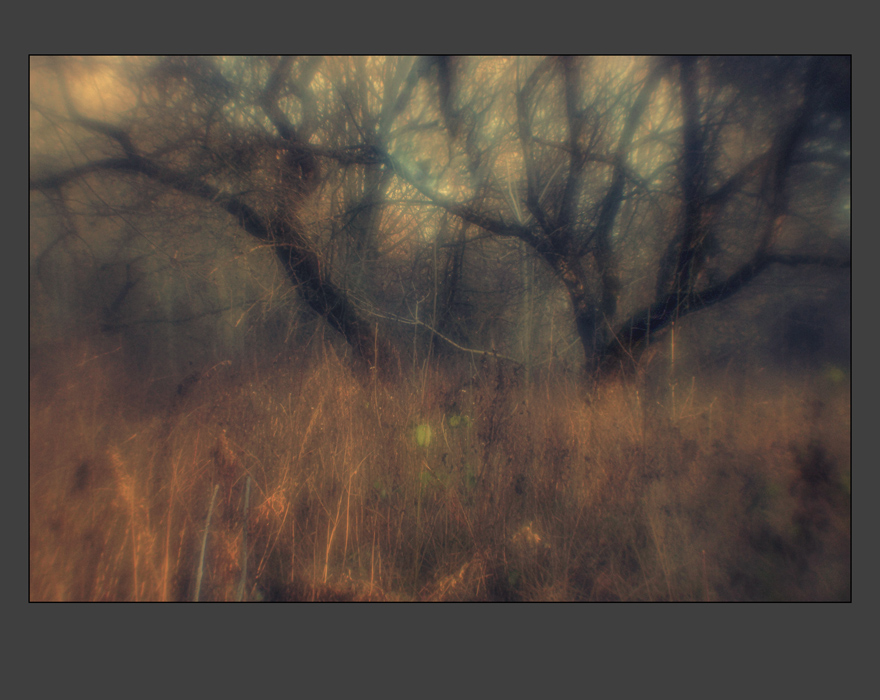 В осеннем парке