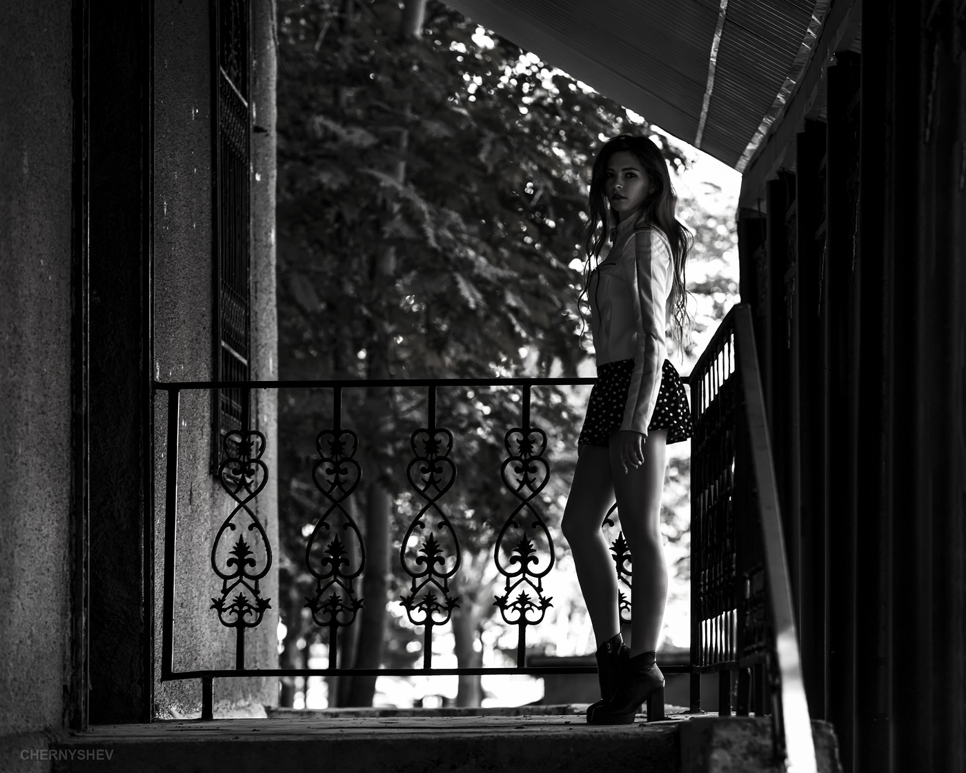 из альбома "логика листьев".