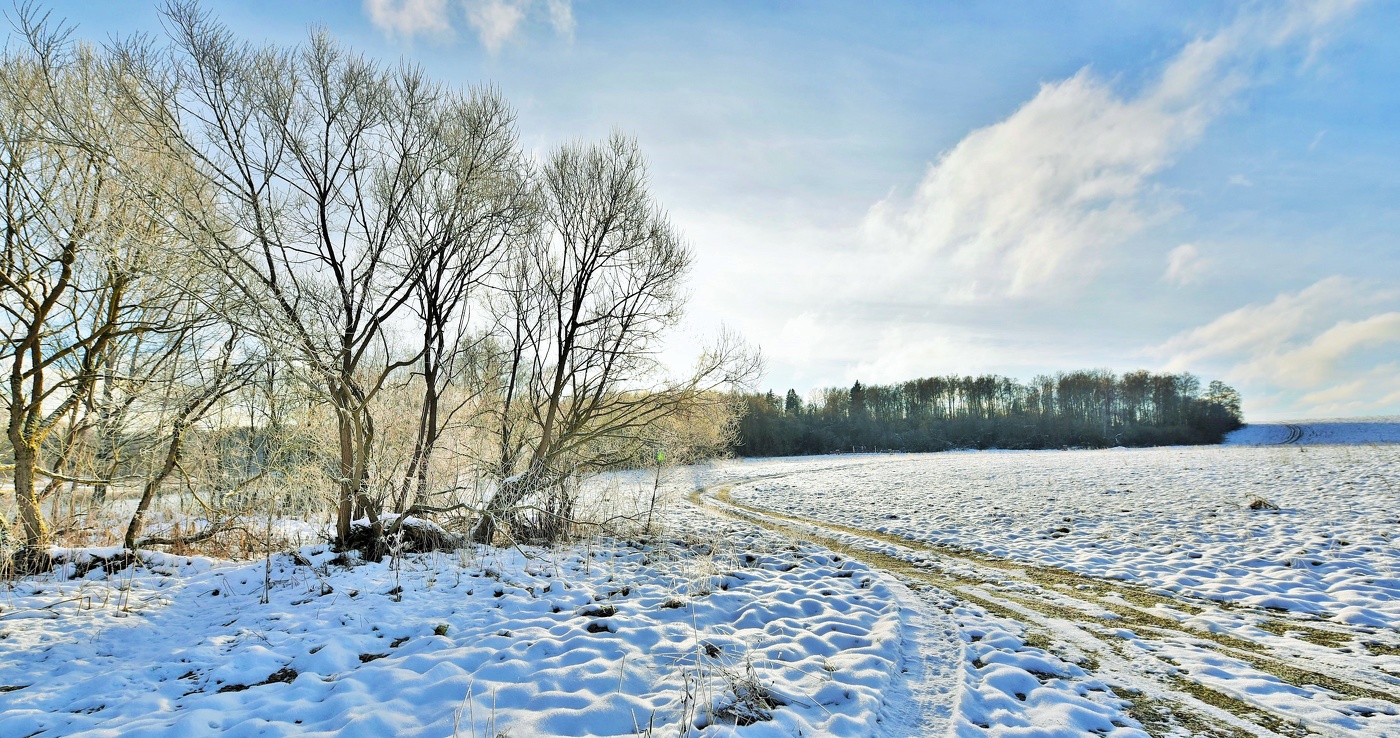 Морозный денек ...