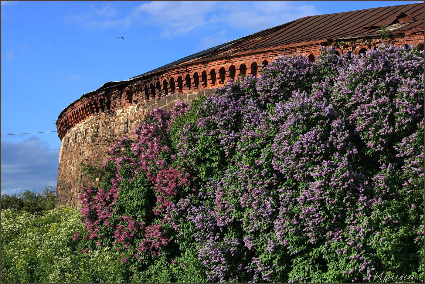 кусочек Выборга...