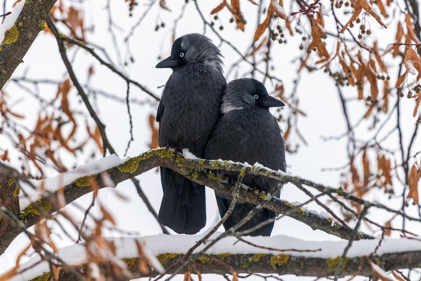 Так теплее.